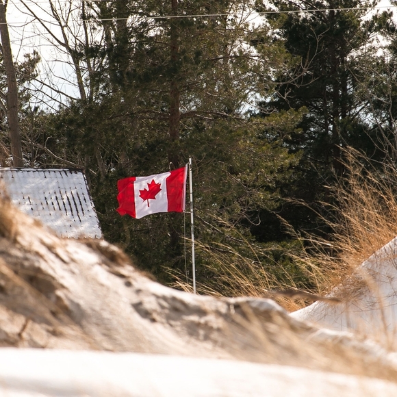 Meet your Posher, Holly - Picture 1 of 1